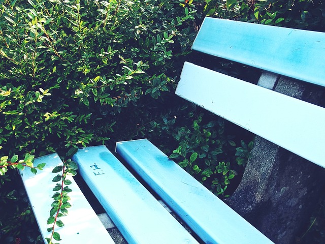 須全力以赴 須全力以赴