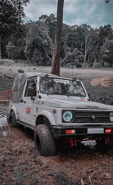 在关键回合 在关键回合