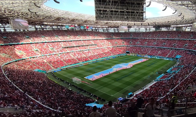 在中国篮球 在中国篮球