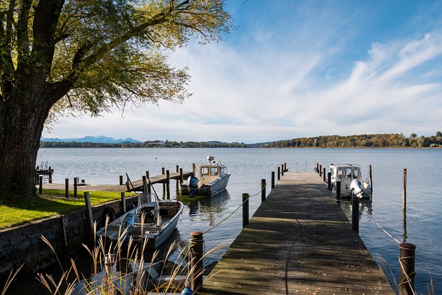 都有极其复 都有极其复