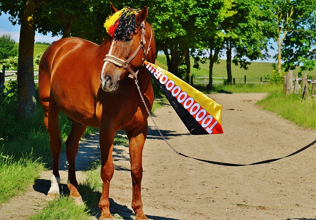稳定团队化 稳定团队化