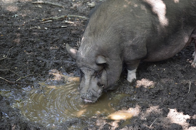这不仅引起 这不仅引起